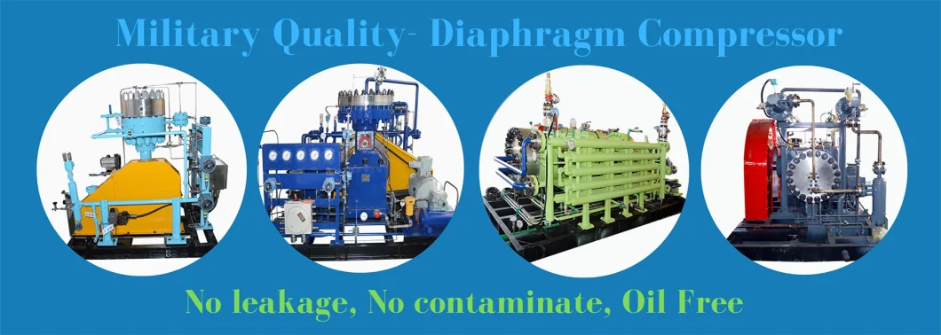 High Purity Oil Free Diaphragm Compressor Helium Oxygen Hydrogen Gas Compressor